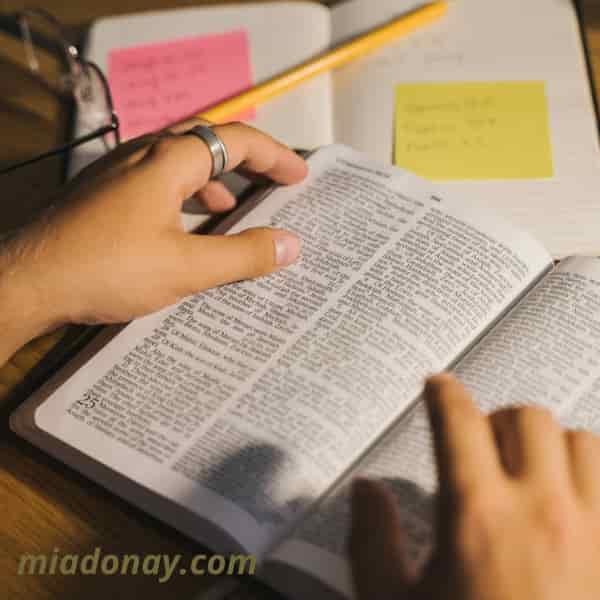 Cuántas Veces Aparece la Palabra Discípulo en el Nuevo Testamento